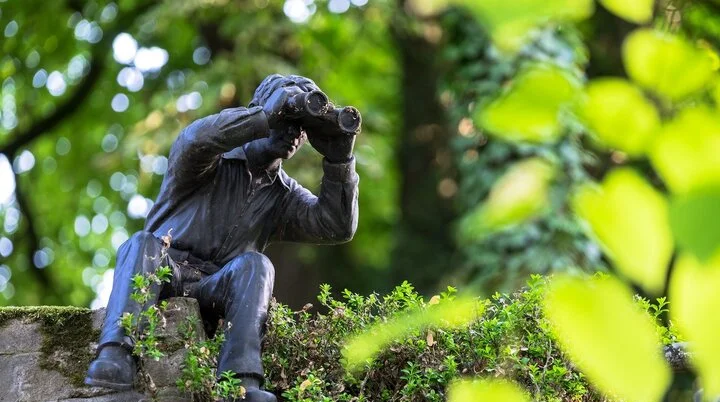 © CC Wir suchen dich | © CC